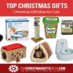 Best Christmas Gift Ideas for Cats 2019