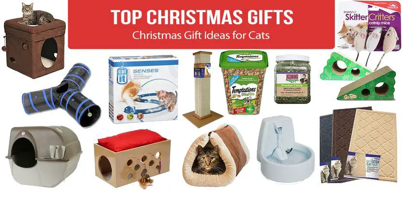 Best Christmas Gift Ideas for Cats 2019