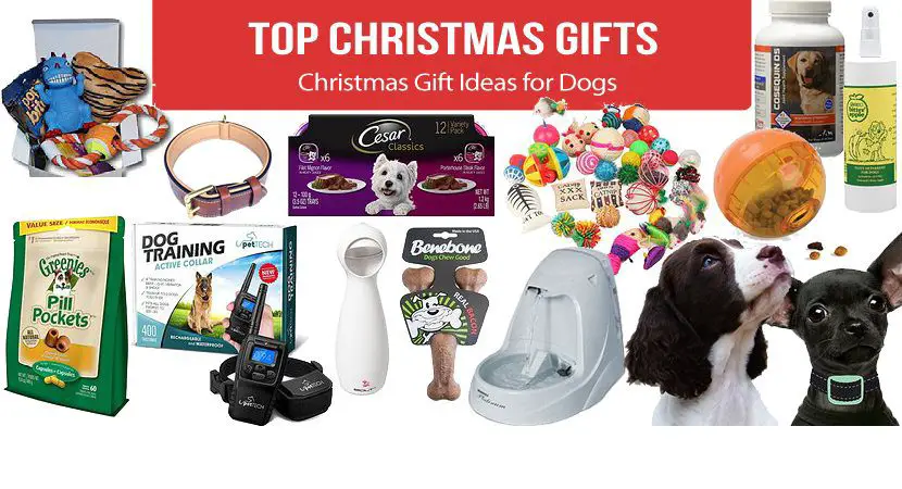 Best Christmas Gift Ideas for Dogs 2019