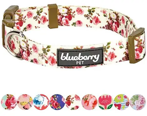 Blueberry Pet Spring Scent Floral Collection
