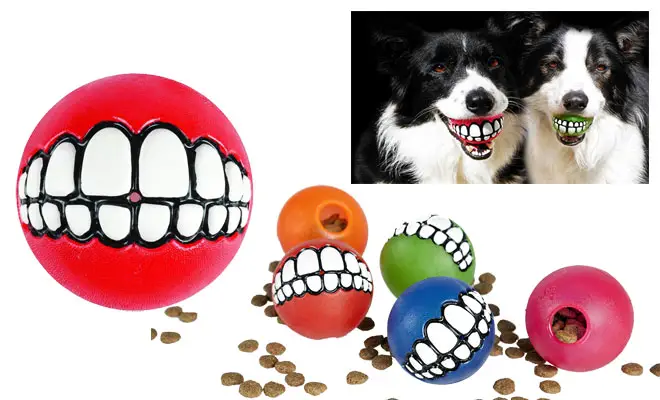 Rogz Fun Dog Treat Ball