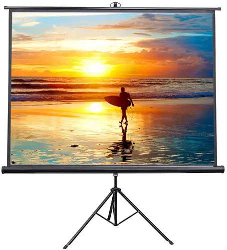 VIVO 100" Portable Indoor Outdoor Projector Screen