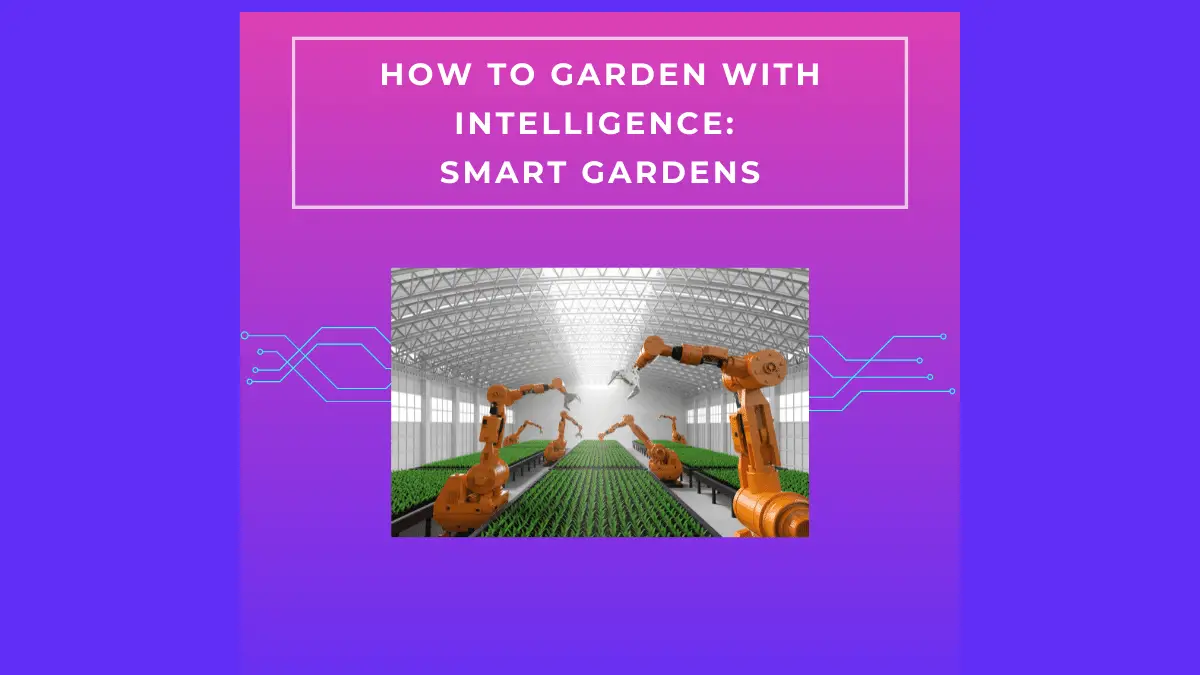How to Garden with Intelligence: Smart Gardens